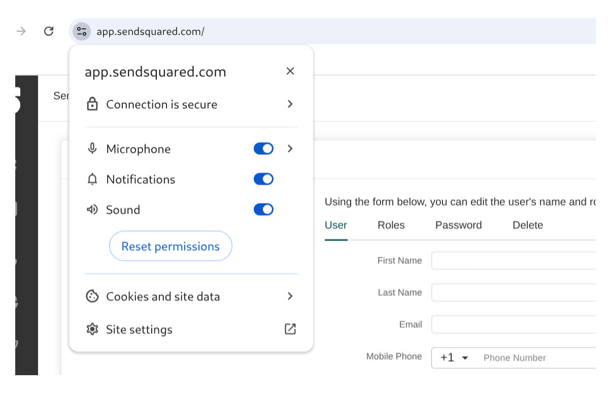 Microphone and Sound Settings